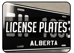 License Plates and Frames
